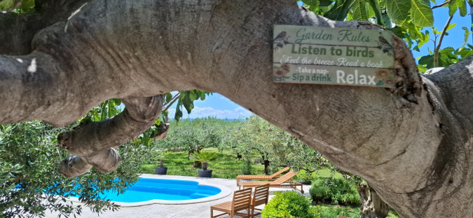 Holiday Home Olives Garden – Villas for Rent – Kucine – Croatia SOLIN