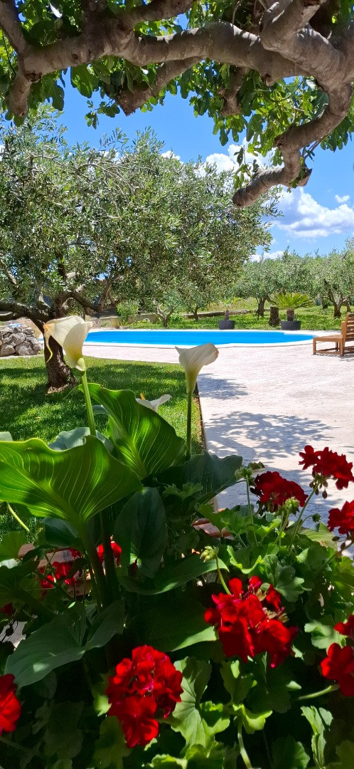 Olives Garden Kučine, Holiday Home Olives Garden – Villas for Rent – Kucine – Croatia SOLIN